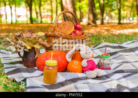 Picknick in der Natur. Weidenkorb auf einem plaid Plaid. Um gelbe Laub, Getränke, Kürbisse und Äpfel, ein Laib Brot, ein Krug Stockfoto