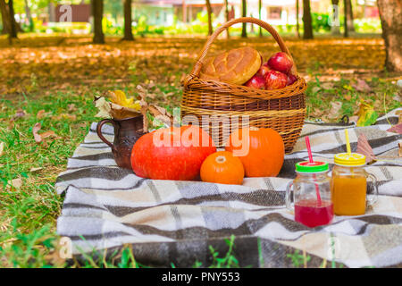Picknick in der Natur. Weidenkorb auf einem plaid Plaid. Um gelbe Laub, Getränke, Kürbisse und Äpfel, ein Laib Brot, ein Krug Stockfoto