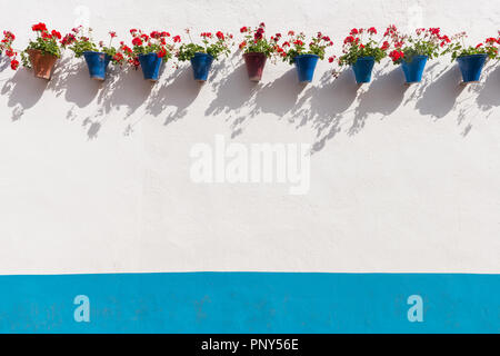 Roten Geranien blau Blumentöpfe auf einer Hauswand, Fiesta de los Patios, Córdoba, Andalusien, Spanien Stockfoto