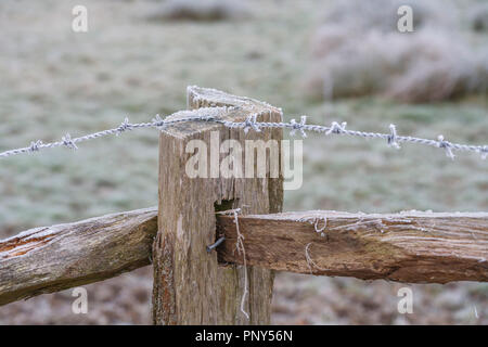 Frosty Stacheldraht auf einer rustikalen hölzernen Zaun in Surrey, ländliche Landschaft im Südosten Englands, in der Nähe von Pyrford nach sehr niedrigen Temperaturen und eisnebel Stockfoto