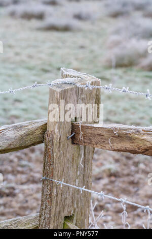 Frosty Stacheldraht auf einer rustikalen hölzernen Zaun in Surrey, ländliche Landschaft im Südosten Englands, in der Nähe von Pyrford nach sehr niedrigen Temperaturen und eisnebel Stockfoto