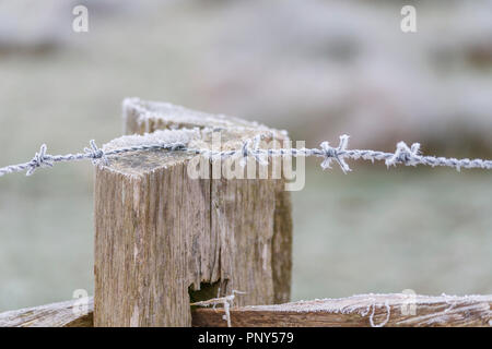 Frosty Stacheldraht auf einer rustikalen hölzernen Zaun in Surrey, ländliche Landschaft im Südosten Englands, in der Nähe von Pyrford nach sehr niedrigen Temperaturen und eisnebel Stockfoto