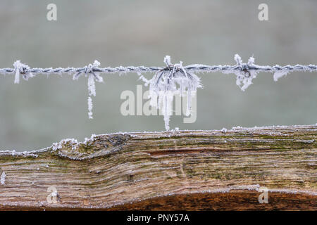Frosty Stacheldraht auf einer rustikalen hölzernen Zaun in Surrey, ländliche Landschaft im Südosten Englands, in der Nähe von Pyrford nach sehr niedrigen Temperaturen und eisnebel Stockfoto