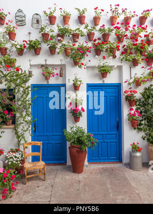 Blaue Türen vorne mit vielen roten Geranien in Blumentöpfen auf eine Hauswand, Fiesta de los Patios, Córdoba, Andalusien, Spanien Stockfoto