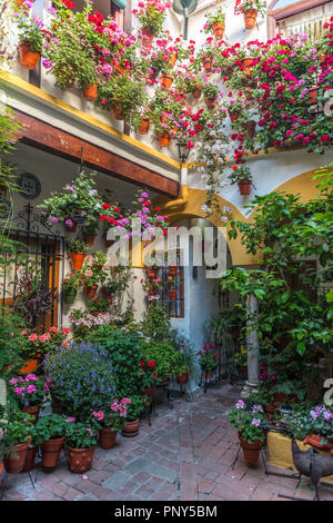 Viele bunte Blumen in Blumentöpfe auf einer Hauswand in den Innenhof, Fiesta de los Patios, Córdoba, Andalusien, Spanien Stockfoto