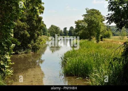 Fluss Schach, in der Nähe von Latimer, Hertfordshire, England. Stockfoto