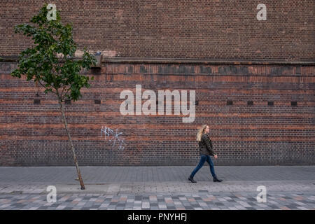 Eine einsame Person an einem einsamen Baum an einem windigen Tag in London. Stockfoto