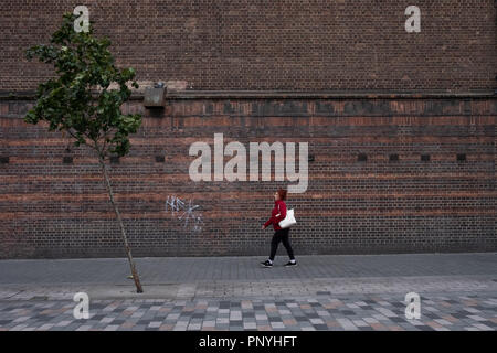 Eine einsame Person an einem einsamen Baum an einem windigen Tag in London. Stockfoto