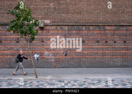 Eine einsame Person an einem einsamen Baum an einem windigen Tag in London. Stockfoto