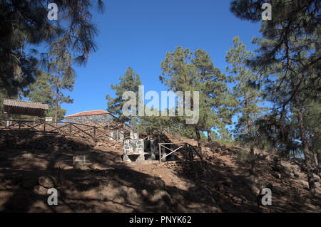 Erholungsgebiet im Herzen des kanarischen Kiefernwald Stockfoto