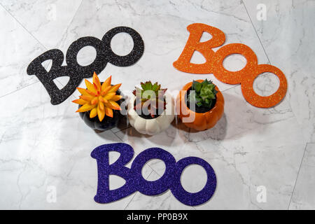 Buh Wort für Halloween - rund um Herbst sukkulenten Kakteen angeordnet. Auf Marmor Hintergrund isoliert Stockfoto