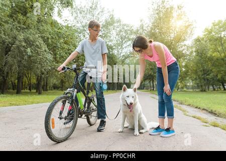 Kinder und Jugendliche sprechen, Spaziergang mit dem Hund im Park auf dem Fahrrad. Stockfoto