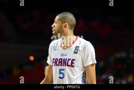 Nicholas spezifiziert. Frankreich Basketball Nationalmannschaft. FIBA Wm Spanien 2014 Stockfoto