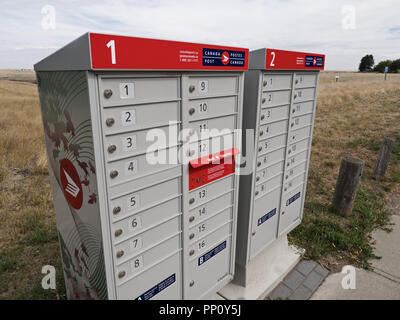 Medicine Hat, Alberta, Kanada. 10 Sep, 2018. Canada Post Gemeinschaft Mailboxen in Medicine Hat, Alberta. Credit: bayne Stanley/ZUMA Draht/Alamy leben Nachrichten Stockfoto