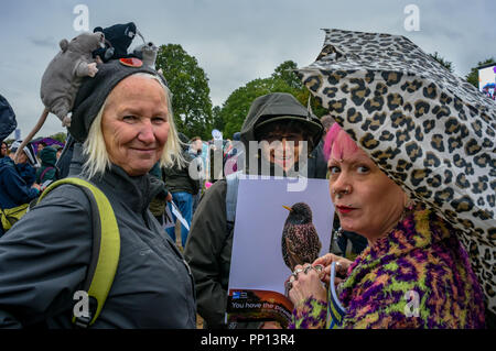 London, Großbritannien. 22. September 2018. Drei Frauen auf der Kundgebung, einer mit einer Kappe mit drei Ratten. Mehrere Tausende kamen zu einer Kundgebung in Hyde Park vor dem Marsch durch London auf der Völker für die Tierwelt von Naturforscher und Rundfunksprecher Chris Packham eingestellt der Manifest für die Tierwelt zu unterstützen, die von ihm mit Hilfe der 17 unabhängigen Experten und Wissenschaftler zu stoppen den drastischen Rückgang der britischen Tierwelt abzielen. Die selbst wurde von vielen NRO, Schulen und Umweltaktivisten unterstützt. (SLIVE v Credit: ZUMA Press, Inc./Alamy leben Nachrichten Stockfoto