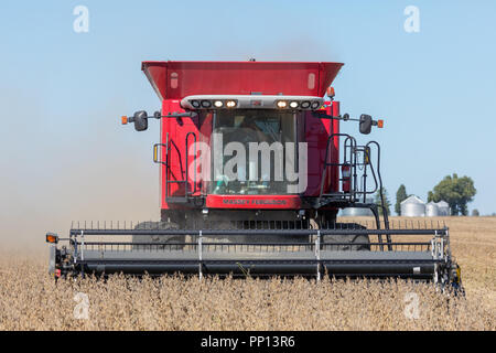 Des Moines County, Iowa, USA. 23. September, 2018. Iowa Landwirte in Des Moines County, Iowa begann Ernte von Sojabohnen als die Aktienkurse weiter sinken. Sojabohnen geschlossen bei $ 8,50 USD diese Woche als die uns Handelskrieg mit China zeigt kein Ende in Sicht. Credit: Keith Turrill/Alamy leben Nachrichten Stockfoto