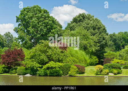 ST. LOUIS - Juni 12: Helle geschwollene Wolken im blauen Himmel über dem See im Japanischen Garten am Missouri botanischen Garten auf einem Mitte Juni Sommer Tag, 2 Stockfoto