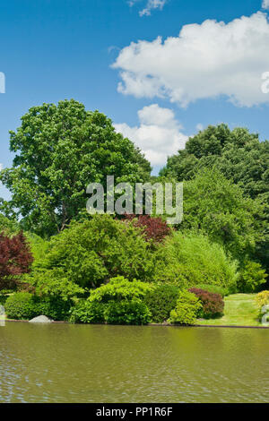 ST. LOUIS - Juni 12: Helle geschwollene Wolken im blauen Himmel über dem See im Japanischen Garten am Missouri botanischen Garten auf einem Mitte Juni Sommer Tag, 2 Stockfoto