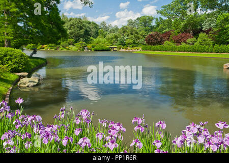 ST. LOUIS - Juni 12: Helle geschwollene Wolken im blauen Himmel über und in den See im Japanischen Garten an der Missouri Botanical Garden auf einer Mitte J Stockfoto