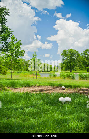 Feuchte Luft ist ein Sommertag liefert eindrucksvolle, wogenden cumulus Wolken über dem Pfosten - Abfertigung See Bei St. Louis Forest Park. Es gibt mehrere mushroo Stockfoto