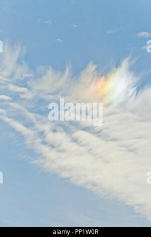 Feder-wie Cirrus Wolken brechende Sonnenlicht zu einer nebensonne gegen ein indigo Hintergrund Ende Dezember erstellen. Stockfoto