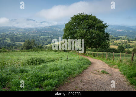 Die schöne Landschaft entlang des Camino de Santiago Trail zwischen Oviedo und Grado, Asturien, Spanien Stockfoto