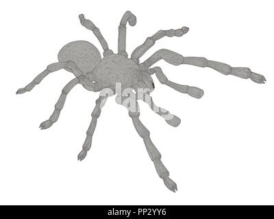 Vector Illustration von polygonalen Tarantula. Isoliert. Stock Vektor