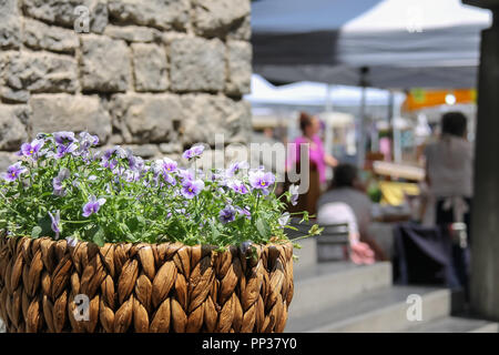 Dekorativer Korb mit zarten Frühlingsblumen auf Stadt. Stockfoto