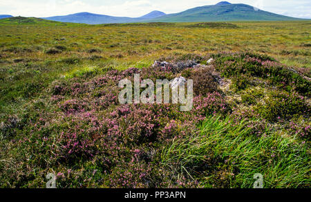 The Flow Country, die letzten wilden Orte der Welt, Highlands, Schottland, Großbritannien, GB. Stockfoto