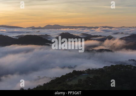 Hintergrund mit Nebel Abdeckung Kiefernwald und Magie des Lichts, Sonnenstrahlen, Artwork aufwendig gemacht, Landschaft und Natur, Bild für den Druck, Anzeige Stockfoto