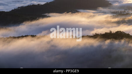 Hintergrund mit Nebel Abdeckung Kiefernwald und Magie des Lichts, Sonnenstrahlen, Artwork aufwendig gemacht, Landschaft und Natur, Bild für den Druck, Anzeige Stockfoto