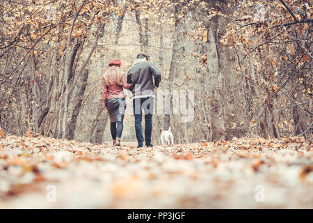 Frau und Mann im Herbst ein Spaziergang mit ihrem Hund im Park Stockfoto