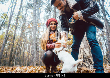 Frau und Mann ihren Hund werfen ein Stick Stockfoto