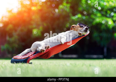 Jack Russel Terrier Hund liegt auf einem Liegestuhl in der Sonnenbrille. Entspannen Sie sich und Ferienhäuser Konzept Stockfoto