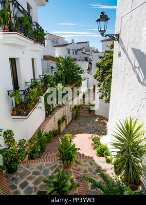 Malerische Gasse mit traditionellen weißen Häusern und Blumentöpfe in einem kleinen Dorf auf Mujedar route, Sedella, Axarquia, Andalusien, Spanien Stockfoto