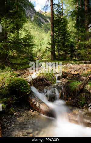 Lechtaler Alpen, Lechtaler Alpen: Bach, Wald, Whirlpool, Region TirolWest, Tirol, Tirol, Österreich Stockfoto