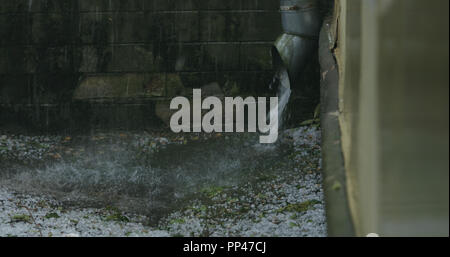 Wasserstrahl aus Rohr bei starkem Regen mit Hagel, breite Foto Stockfoto