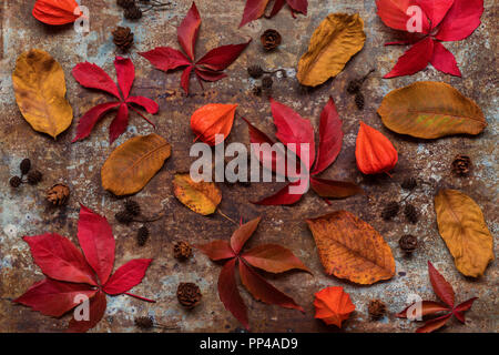 Herbst Komposition. Muster aus getrockneten Blüten und Blätter im Herbst. Ansicht von oben, flach. Herbst Hintergrund. Stockfoto