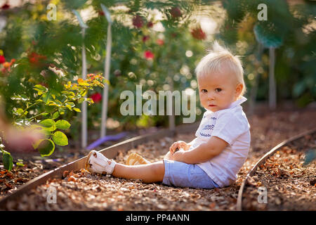 Süße kleine Baby Boy, sitzen im Blumengarten, genießen die Blumen bei Sonnenuntergang, Sommerzeit Stockfoto