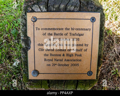 Schlacht von Trafalgar Bi - 100-Plakette auf Eiche, Buxton, Derbyshire Stockfoto