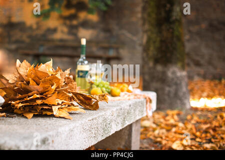 Eine Flasche Wein und zwei Gläser, auf einem Picknick. Blätter im Herbst im Garten. Romantische Party auf der Straße. Freier Platz für Text. Kopieren Sie Platz. Stockfoto