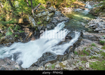 Rapids bei Tye Fluss, Täuschung fällt Bereich, Mount Baker Snoqualmie National Forest, zentrale Kaskaden, in der Nähe der Skykomish, Washington State, USA Stockfoto