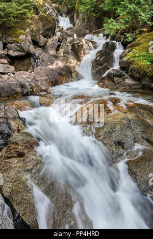 Täuschung fällt, Mount Baker Snoqualmie National Forest, zentrale Kaskaden, in der Nähe der Skykomish, Washington State, USA Stockfoto