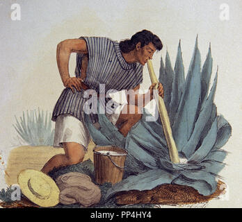 TRAJES CIVILES, MILITARES Y RELIGIOSOS DE MEXIKO - 1828 - EXTRACCION DE PULPA DE MAQUEY - LITOGRAFIA SIGLO XIX. Autor: LINATI, CLAUDIO. Lage: das Museo DE AMERICA - coleccion. MADRID. Spanien. Stockfoto