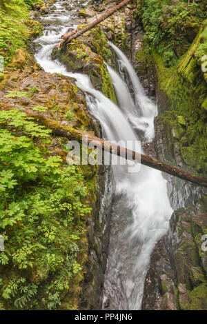 Sol Duc fällt, Olympic National Park, Washington State, USA Stockfoto