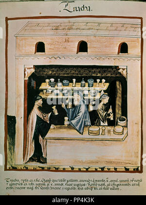 Faksimile des THEATRUM SANITATIS - Mittelalterliche Medizin - APOTHEKE UND BOISTICS - Juden - 14. und 15. Jahrhunderts. Autor: UBUBEHASYM BALDACH O IBN BUTLAN. Lage: CSIC. MADRID. Spanien. Stockfoto