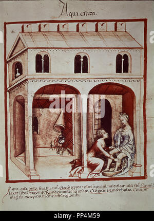 Faksimile des THEATRUM SANITATIS - EIGENSCHAFTEN VON HEISSEM Wasser - Manuskript 14. und 15. Jahrhunderts. Autor: UBUBEHASYM BALDACH O IBN BUTLAN. Lage: CSIC. MADRID. Spanien. Stockfoto