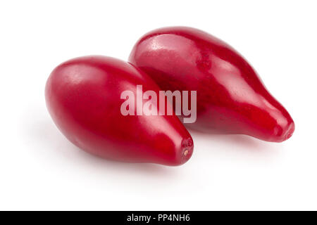 Rote beeren cornel oder Hartriegel auf weißem Hintergrund. Stockfoto