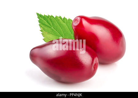 Rote beeren cornel oder Hartriegel mit Blatt auf weißem Hintergrund. Stockfoto