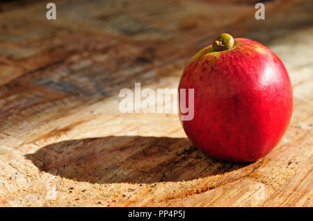 Frisch hat roter Apfel auf Baumstumpf Stockfoto